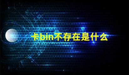 卡bin不存在是什么意思 電腦中bin是什么意思